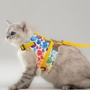 PATIPATRON Cat Harness and Leash Set Cats Escape Proof Adjustable Size M